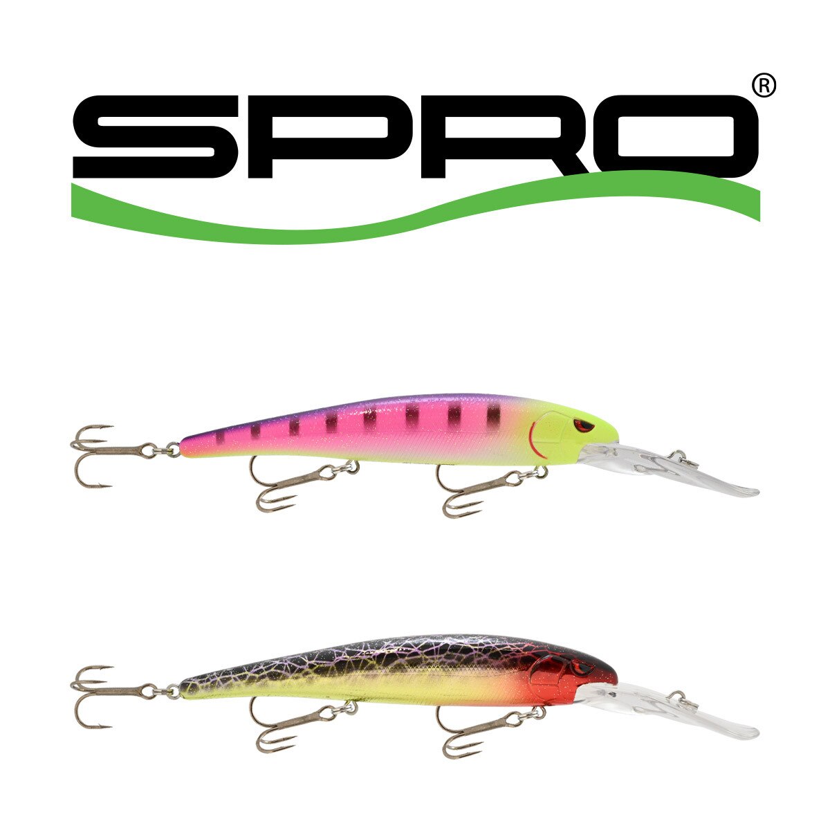 e minnow fishing lure Ignite Baits Nicotine The Rod Locker Designed specifically for sluggish early Rapala BX Jointed Minnow Freshwater