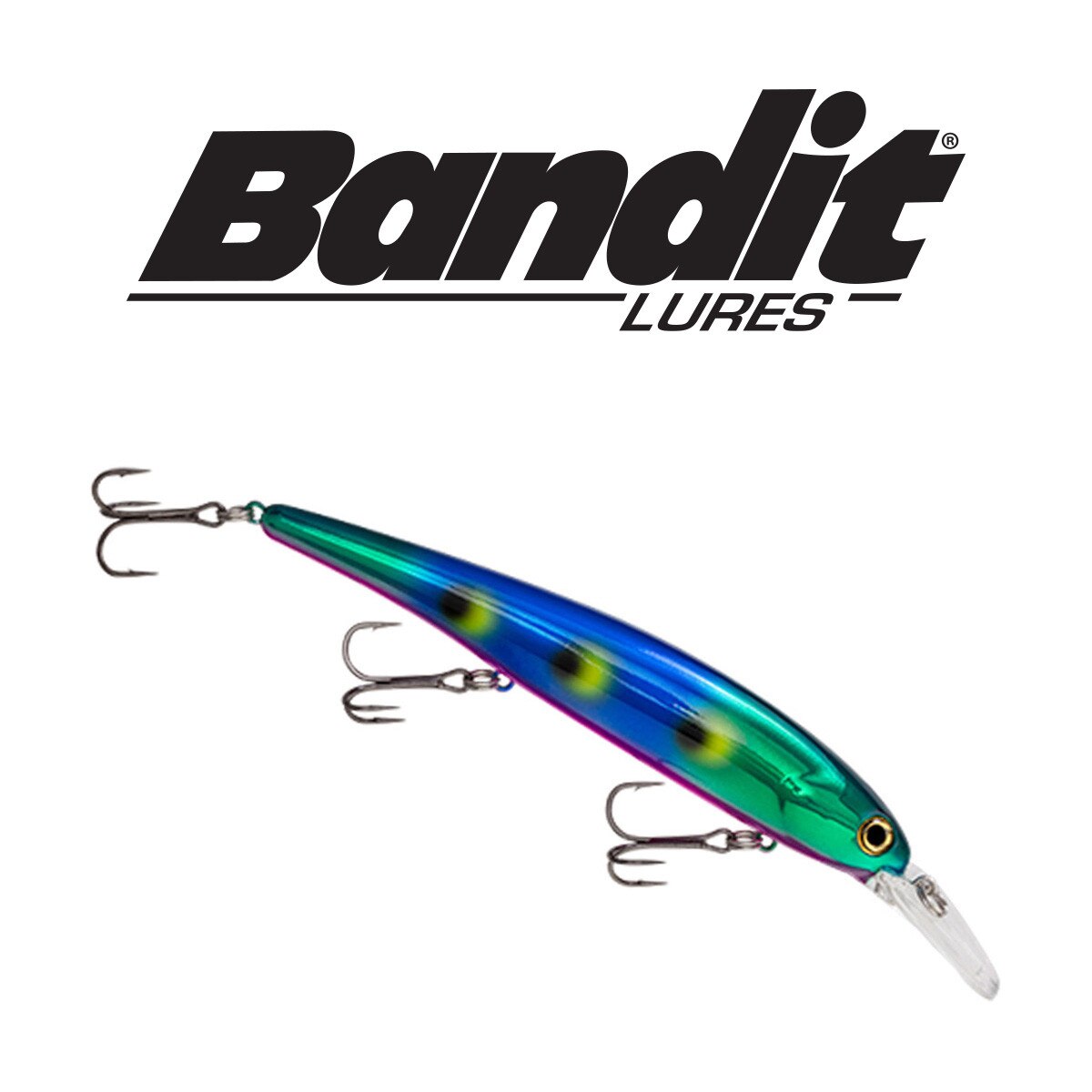 carbon fiber fish net – Risen Fly Color:Albino Shiner collection_0101 Light Wire Bait Hooks and the clear rubber